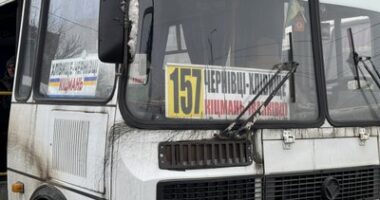 Громадський транспорт у міських громадах Чернівецької області: де курсують автобуси, пільги та скарги пасажирів