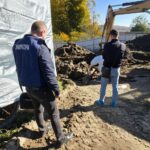 На Буковині місцевий депутат намагався «поховати» спалах африканської чуми на власній фермі (відео)