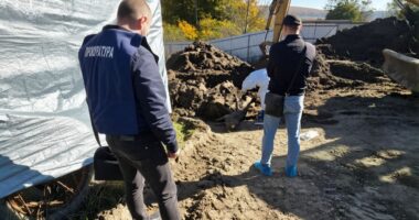 На Буковині місцевий депутат намагався «поховати» спалах африканської чуми на власній фермі (відео)