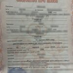 На Буковині чоловік з фальшивим свідоцтвом про шлюб намагався перетнути кордон