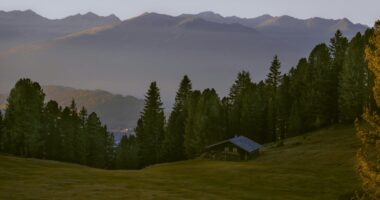 Найвисокогірніше житло на Буковині отримало централізоване електропостачання