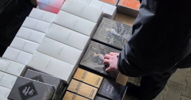 Буковинець намагався провезти контрабандні брендові речі на 2,5 млн грн