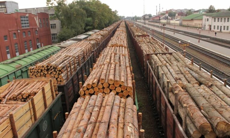 На Буковині судитимуть підприємця за замах на контрабанду забороненої для експорту деревини до ЄС