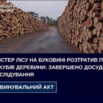 На Буковині майстер лісу розтратив понад 258 кубів деревини