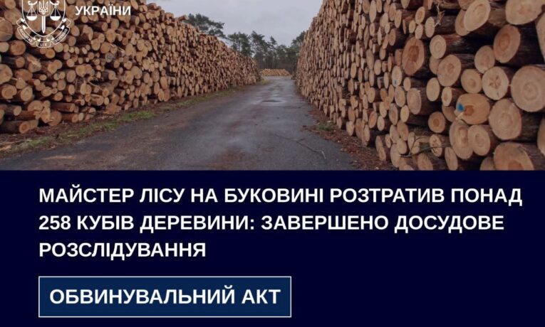 На Буковині майстер лісу розтратив понад 258 кубів деревини