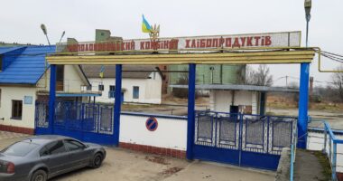 Неполоковецький хлібокомбінат знову виставили на аукціон