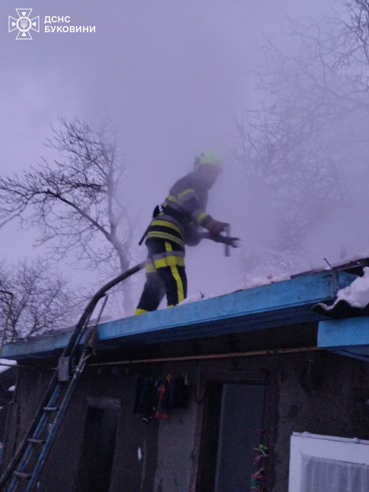 Рятувальники ліквідували пожежі у житловому секторі на Буковині