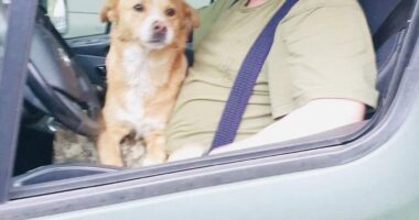 Захисника з Буковини нагородили відзнакою Президента України «За оборону України»