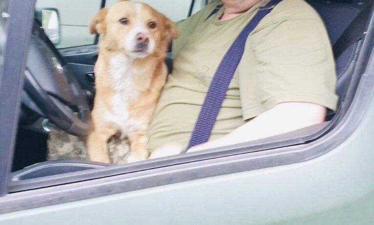 Захисника з Буковини нагородили відзнакою Президента України «За оборону України»