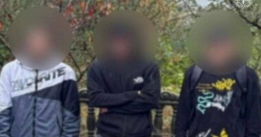 За диверсії на залізниці трьох буковинців засуджено до 15 років