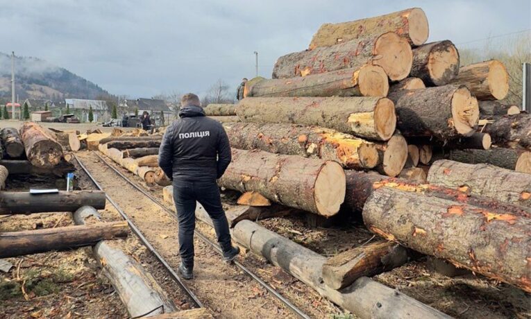 На Буковині майстру лісу повідомили про підозру через незаконну порубку ялини та ялиці на понад 27 млн грн
