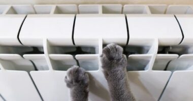 У Чернівцях завершують опалювальний сезон: коли вимкнуть тепло