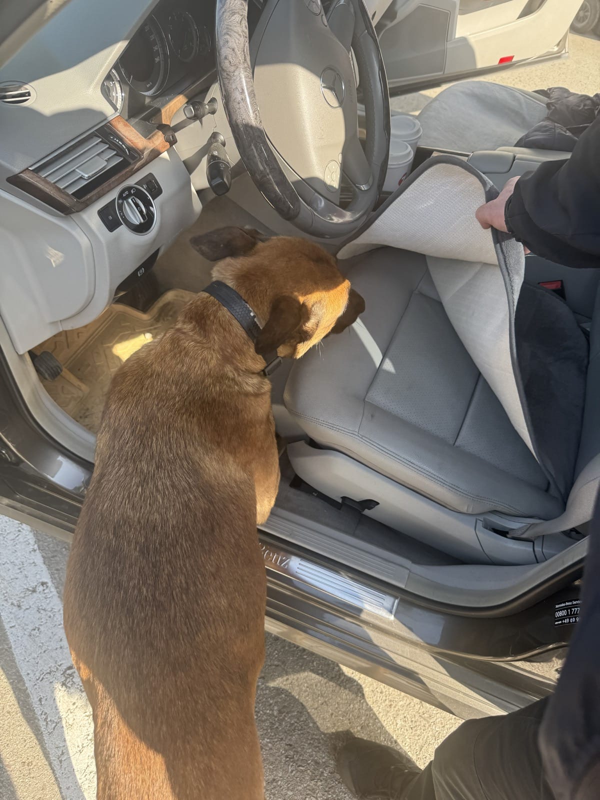 Службовий собака виявив наркотики у пункті пропуску «Порубне»