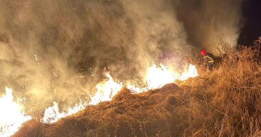 На Буковині за минулу добу зафіксовано 14 пожеж на відкритих територіях, постраждала людина