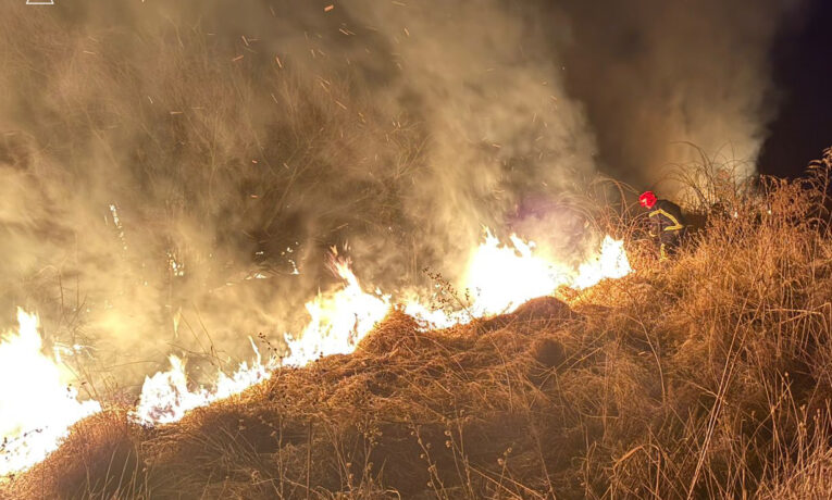 На Буковині за минулу добу зафіксовано 14 пожеж на відкритих територіях, постраждала людина