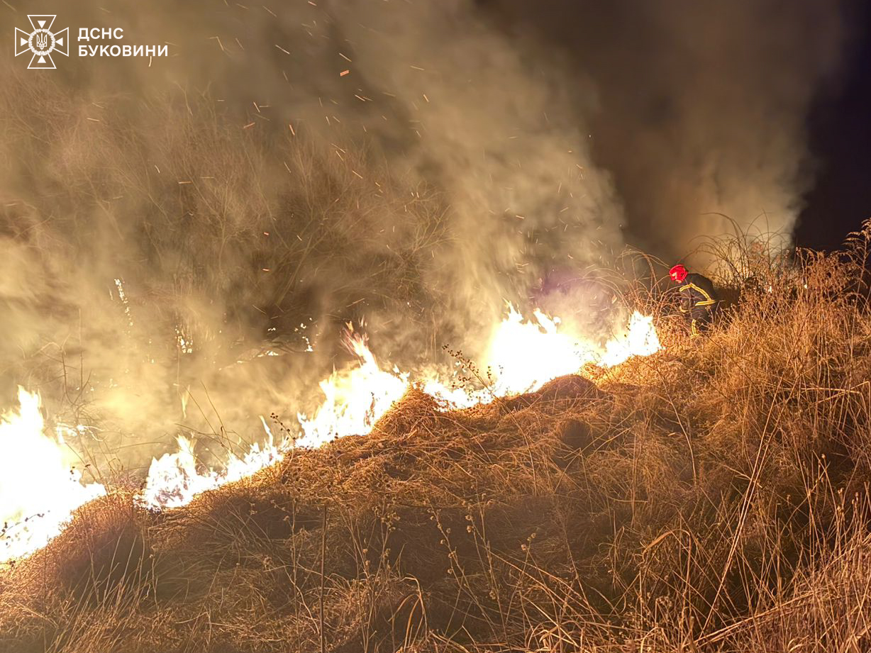 На Буковині за минулу добу зафіксовано 14 пожеж на відкритих територіях, постраждала людина
