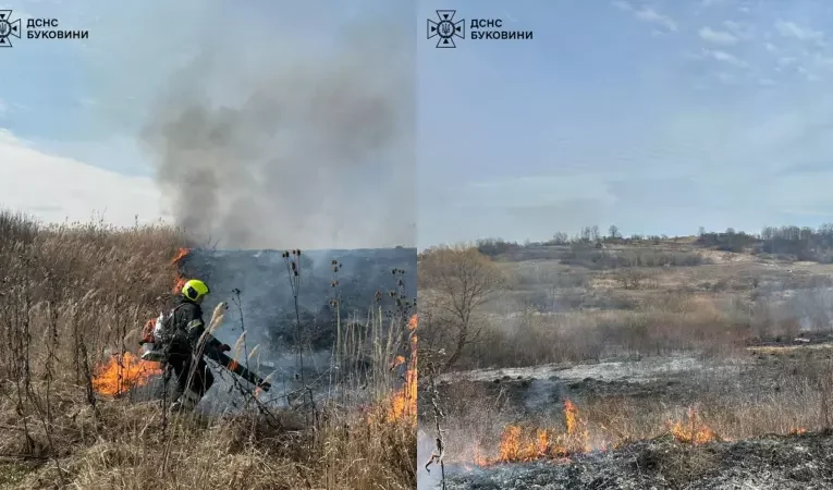 На Буковині за добу ліквідували кілька пожеж сухостою