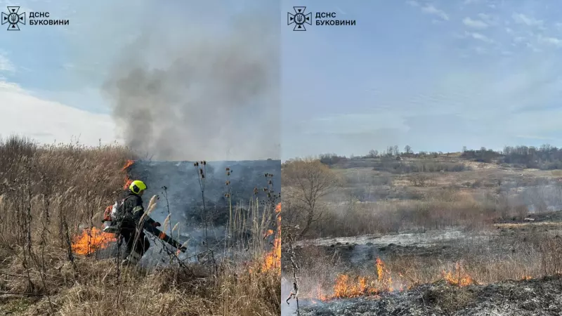 На Буковині за добу ліквідували кілька пожеж сухостою