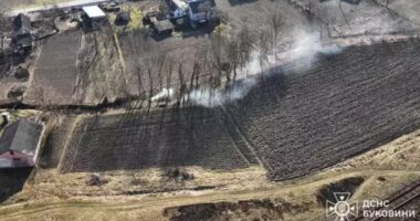 Буковинців штрафуватимуть за спалювання сухостою
