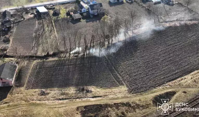 Буковинців штрафуватимуть за спалювання сухостою