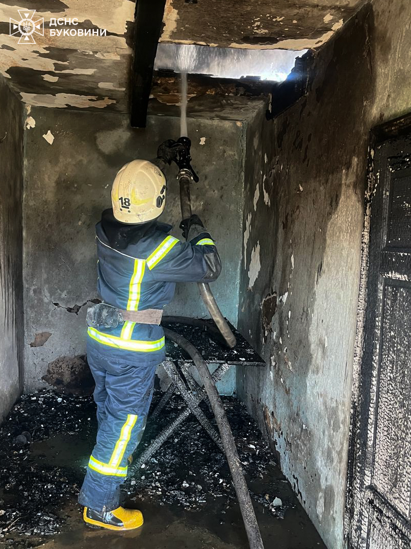 На Буковині через пожежі сухої трави згорів будинок та постраждали двоє людей