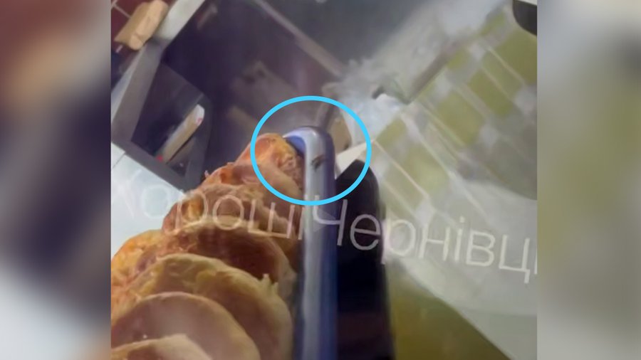 Через відео з тарганами у ліцеї Чернівців два дні буде дистанційне навчання – проведуть дезінсекцію