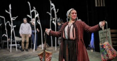 Троє акторів Чернівецького муздрамтеатру Кобилянської отримали почесні звання