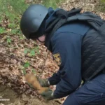 У Вижницькому районі піротехніки знищили міну часів Другої світової війни