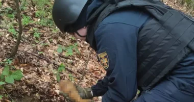 У Вижницькому районі піротехніки знищили міну часів Другої світової війни