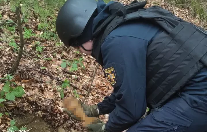 У Вижницькому районі піротехніки знищили міну часів Другої світової війни