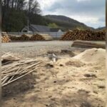 На Буковині викрили схему експорту лісоматеріалів до Молдови на 10 млн