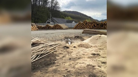 На Буковині викрили схему експорту лісоматеріалів до Молдови на 10 млн