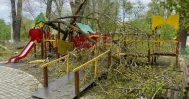 У Новоселиці через негоду дерево травмувало двох дітей