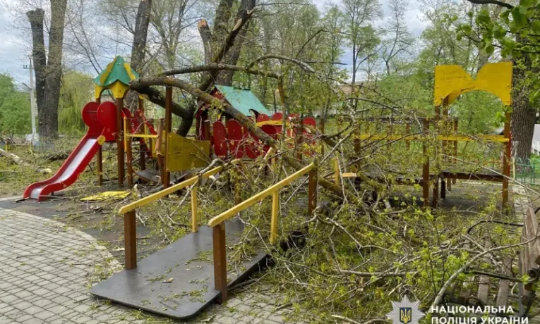 У Новоселиці через негоду дерево травмувало двох дітей