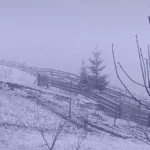 У Буковинських Карпатах у середині квітня випав сніг: гори знову білі