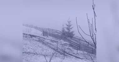 У Буковинських Карпатах у середині квітня випав сніг: гори знову білі