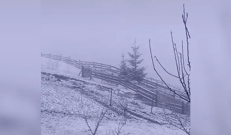 У Буковинських Карпатах у середині квітня випав сніг: гори знову білі