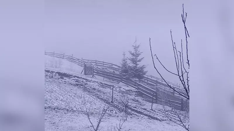 У Буковинських Карпатах у середині квітня випав сніг: гори знову білі