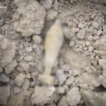 У Чернівцях на сміттєзвалищі виявили та знищили мінометну міну часів Другої світової війни