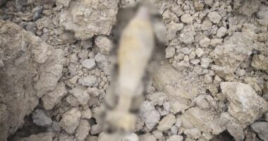 У Чернівцях на сміттєзвалищі виявили та знищили мінометну міну часів Другої світової війни