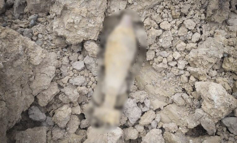 У Чернівцях на сміттєзвалищі виявили та знищили мінометну міну часів Другої світової війни