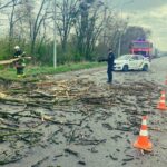 Негода на Буковині: повалені дерева, перекриті дороги та пошкоджені будівлі