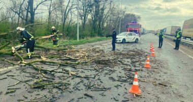 Негода на Буковині: повалені дерева, перекриті дороги та пошкоджені будівлі