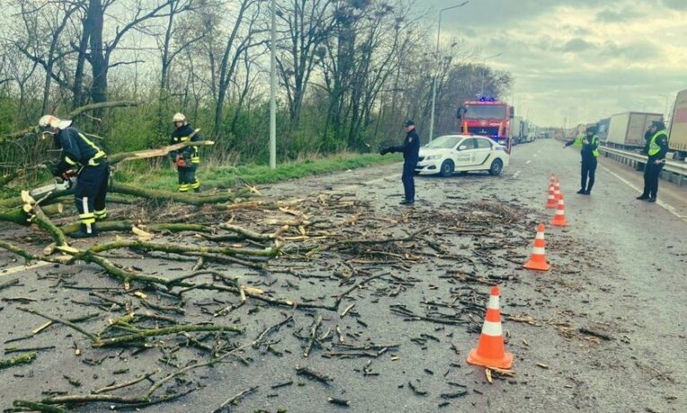 Негода на Буковині: повалені дерева, перекриті дороги та пошкоджені будівлі