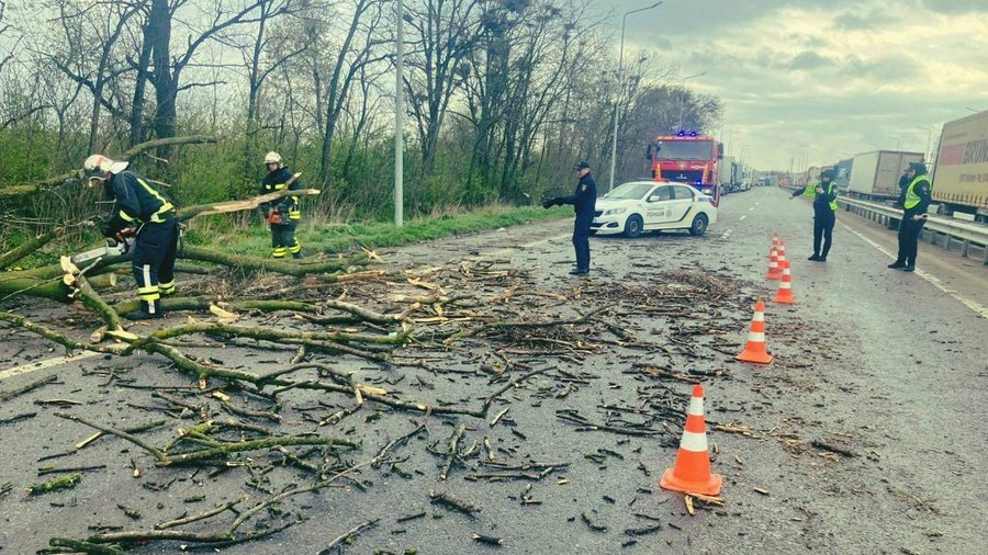 Негода на Буковині: повалені дерева, перекриті дороги та пошкоджені будівлі