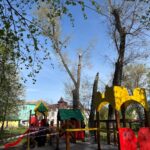 На Буковині через буревій гілки дерева впали на дитячий майданчик – травмувалися двоє дітей