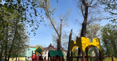 На Буковині через буревій гілки дерева впали на дитячий майданчик – травмувалися двоє дітей