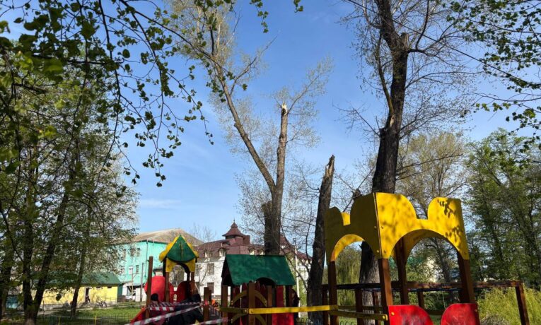 На Буковині через буревій гілки дерева впали на дитячий майданчик – травмувалися двоє дітей