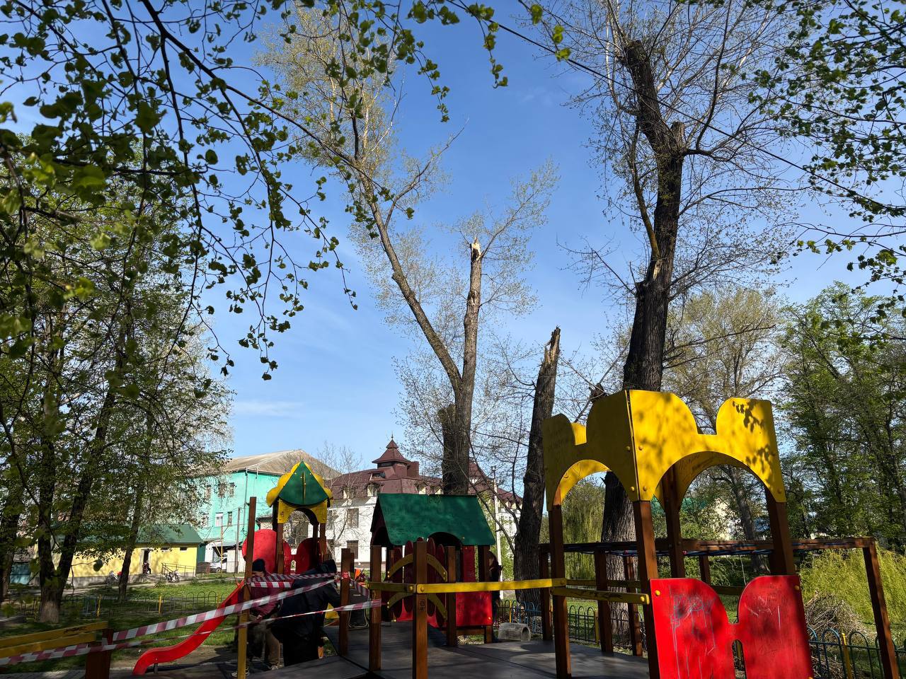На Буковині через буревій гілки дерева впали на дитячий майданчик – травмувалися двоє дітей