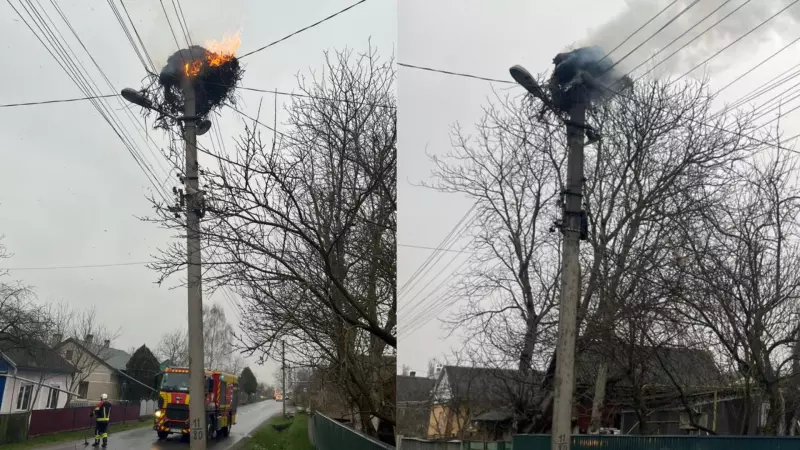 На Буковині за добу сталося три пожежі: у Чернівцях згоріло лелече гніздо